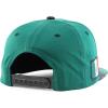 imageHecho En Mexico Eagle 3D Embroidered Flat Bill Snapback CapDarkgreen