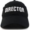 imageTrendy Apparel Shop Director Embroidered Soft Cotton Low Profile Dad Hat Baseball CapBlack