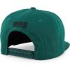 imageTrendy Apparel Shop Bear Embroidered Flat Bill Snapback CapDark Green Dark Green 5