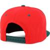 imageTrendy Apparel Shop Bear Embroidered Flat Bill Snapback CapDark Green Red 6