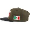 imageTrendy Apparel Shop 3D Mexico Embroidered Structured Flat Bill Snapback CapOlive Black