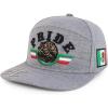imageTrendy Apparel Shop 3D Mexico Pride Embroidered Flatbill Snapback CapHeather Grey