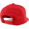 imageTrendy Apparel Shop 6 Panel Mid Profile Hybrid Perforated Cap with RopeRed