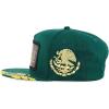 imageTrendy Apparel Shop Mexico States Auto License Plate Theme Flat Bill Snapback CapMexico Darkgreen 2
