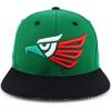 imageTrendy Apparel Shop Hecho En Mexico Eagle 3D Embroidered Snapback CapGreen Black