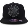 imageTrendy Apparel Shop Cities of Mexico Circular Logo Embroidered Flatbill Snapback Baseball CapDurango Charcoal Black
