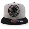 imageTrendy Apparel Shop Cities of Mexico Circular Logo Embroidered Flatbill Snapback Baseball CapMexico Grey  Grey Black