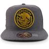 imageTrendy Apparel Shop Cities of Mexico Circular Logo Embroidered Flatbill Snapback Baseball CapMichoacan Gold  Charcoal