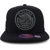 imageTrendy Apparel Shop Cities of Mexico Circular Logo Embroidered Flatbill Snapback Baseball CapTijuana Charcoal  Black