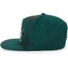 imageTrendy Apparel Shop Bear Embroidered Flat Bill Snapback CapDark Green Dark Green 7