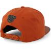 imageTrendy Apparel Shop Bear Embroidered Flat Bill Snapback CapTog Tog 9