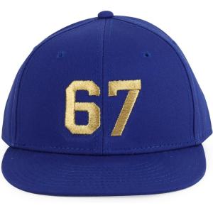 imageTrendy Apparel Shop Youth Size Number 67 Gold Thread Embroidered 6 Panel Cotton Snapback CapRoyal
