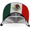 imageTrendy Apparel Shop 5 Panel Structured Trucker Cap with Mexico Flag Design UndervisorBlack White