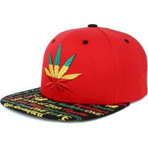 imageTrendy Apparel Shop Rasta Marijuana Leaf Weed 3D Embroidered Flat Bill Snapback CapRed Rasta