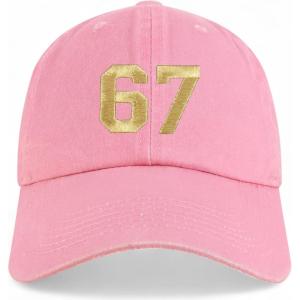 imageTrendy Apparel Shop Number 67 Gold Thread Embroidered Pigment Dyed Cotton Baseball CapPink