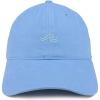 Carolina Blue