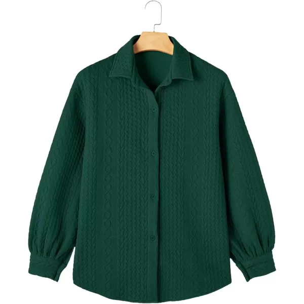 imageAstylish Women Long Lantern Sleeve Shirts Cable Textured V Neck Button Down Tops Casual Oversized BlouseBlackish Green