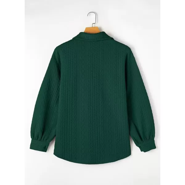 imageAstylish Women Long Lantern Sleeve Shirts Cable Textured V Neck Button Down Tops Casual Oversized BlouseBlackish Green