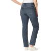 imageGloria Vanderbilt Womens Amanda Classic High Rise Tapered JeanOregon Whiskers