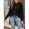 imageAstylish Womens Casual Blouses ButtonDown Business Work Tops Long Sleeve Mandarin Neck Pleated Shirts 2025 Fall OutfitsBlack