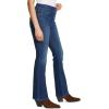 imageGloria Vanderbilt Womens Shape Effect Tummy Hold High Rise Boot Cut JeanWarrensville  Whiskers