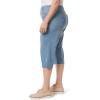 imageGloria Vanderbilt Womens Amanda Capri JeanMadagascar  Rivets