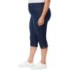 imageGloria Vanderbilt Womens Amanda Capri JeanMadison  Rivets