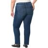 image:imageGloria Vanderbilt Womens Amanda Classic High Rise Tapered Jean PlusLaramie Whiskers