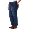 image:imageGloria Vanderbilt Womens Amanda Classic High Rise Tapered Jean PlusPark City