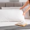 imagePremium Waterproof Pillow Protectors  King Size 20x38 Set of 2  Zippered Pillow Cover Made with Soft Terry Cotton Fabric  Hypoallergenic and Dust ProofKING 20x38