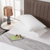 imagePremium Waterproof Pillow Protectors  King Size 20x38 Set of 2  Zippered Pillow Cover Made with Soft Terry Cotton Fabric  Hypoallergenic and Dust ProofSTANDARD 20x28