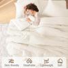 imageMUXHOMO 7 Pieces Queen Comforter Set Seersucker Bed in a Bag Queen Size All Season Luxury Bedding Set with Comforter Flat Sheet Fitted Sheet Pillowcases ampamp Shams BeigeIvory