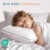 imageMUXHOMO Bed Pillows Queen Size Set of 2 Hotel Collection Sleeping Pillows 2 Pack for Side and Back Sleepers Down Alternative Plump Filling 20 x 30 InchesWhite