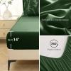 imageMUXHOMO Bed in a Bag Queen 7 Pieces Sage Green Queen Comforter Set Reversible Botanical Flowers Design Ultra Soft ampamp Breathable Bedding Sets with Comforter Sheets Pillowcases ampamp ShamsDark Green Leaves