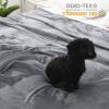 imageMUXHOMO Fleece Throw Blankets Queen Size for Couch 260GSM Lightweight Plush Fuzzy Cozy Warm Blanket Bed Blanket for Winter Sofa Travel Throw90quotx90quot Grey