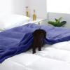 imageMUXHOMO Twin Fleece Throw Blanket for Couch Cozy Lightweight Flannel Blanket Warm Fuzzy Blanket for Winter Bed Sofa Travel Navy 60quot x 80quot
