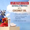 imageAquaphor Naturally Inspired Lip Repair Stick with Coconut Oil and Natural Shea Butter Hydrating Lip Balm Immediately Relieves Dryness and Soothes Chapped Lips 017 Oz Stick Pack of 3
