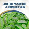 imageGold Bond Healing Hydrating Lotion 20 oz with Aloe Moisturizes Immediate 24Hour Hydration14 Ounce Pack of 1