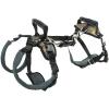 imagePetSafe CareLift Support Harness  Full Body Lifting Aid with Handle  Great for Pet Mobility and Older Dogs  Comfortable Breathable Material  Easy to Adjust MediumMedium Pack of 1