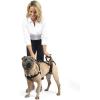 imagePetSafe CareLift Support Harness  Full Body Lifting Aid with Handle  Great for Pet Mobility and Older Dogs  Comfortable Breathable Material  Easy to Adjust MediumMedium Pack of 1