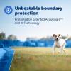 imagePetSafe Guardian GPS  Tracking Dog Fence Collar Pet Safe GPS Dog Collar Fence System with App Waterproof Rechargeable Collar Tracking for Dogs BlueBlue