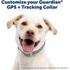 imagePetSafe Guardian GPS  Tracking Dog Fence Collar Pet Safe GPS Dog Collar Fence System with App Waterproof Rechargeable Collar Tracking for Dogs BlueGrey