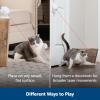 imagePetSafe Laser Tail Cat Toy  Fun and Safe Laser Light Game for Cats  Hands Free PlayWhiteDancing Dot