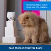 imagePetSafe Laser Tail Cat Toy  Fun and Safe Laser Light Game for Cats  Hands Free PlayWhiteDancing Dot