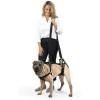 imagePetSafe CareLift Support Harness  Full Body Lifting Aid with Handle  Great for Pet Mobility and Older Dogs  Comfortable Breathable Material  Easy to Adjust MediumMedium Pack of 1