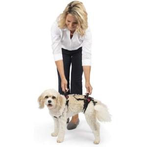 imagePetSafe CareLift Support Harness  Full Body Lifting Aid with Handle  Great for Pet Mobility and Older Dogs  Comfortable Breathable Material  Easy to Adjust MediumSmall