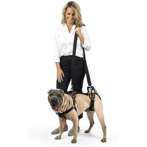 imagePetSafe CareLift Support Harness  Full Body Lifting Aid with Handle  Great for Pet Mobility and Older Dogs  Comfortable Breathable Material  Easy to Adjust MediumMedium Pack of 1