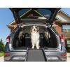 imagePetSafe Happy Ride Foldable Pet Ramp Lightweight Design Durable Material Supports Up to 150 Lb High Traction Surface Safety Latch for Secure Storage Outdoor Pet Ramp Dark Gray