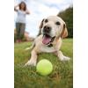 imagePetSafe InGround Radio Fence
