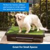 imagePetSafe Pet Loo Portable Dog Potty  Pet Toilet Alternative for Puppy Pads  Medium  Perfect for House Training  EasytoClean Grass MatLarge Pack of 1